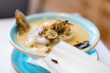 Insect in the soup, restaurant sanitary standards. The insect was pulled out of the soup in a cafe, a claim to the chef. © ALEXEY