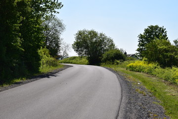 kleine gewundene Eifelstraße im Frühling