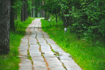 path in the park