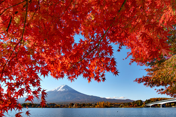 Fuji Mountain in Autumn at Kawaguchiko Lake, Japan