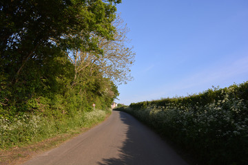 road in the countryside, Dorset, England