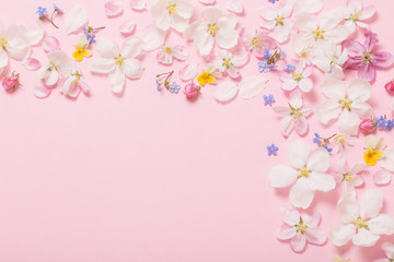 Fototapeta na wymiar spring flowers on pink background