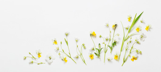 Naklejka na ściany i meble wild flowers on white background