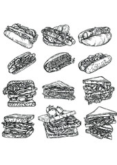 vector illustration of hot dogs and sandwiches with detailed drawing