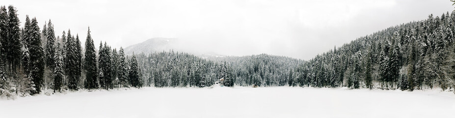 Panoramic view of the Synevyr lake. Carpathians