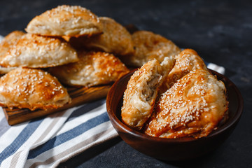 Asian cuisine. Homemade samsa with chicken, sesame and greens on a dark background. Top view side View. Space for text