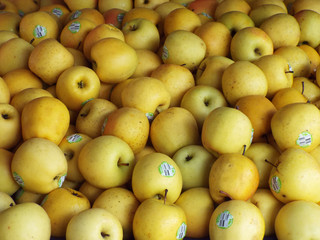 a collection of apples for sale