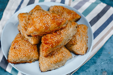 Asian cuisine. Homemade samsa with chicken, sesame and greens on a dark background. Top view side View. Space for text