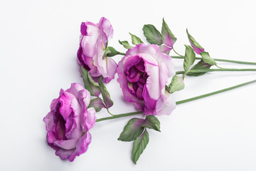 Artificial purple roses on white background