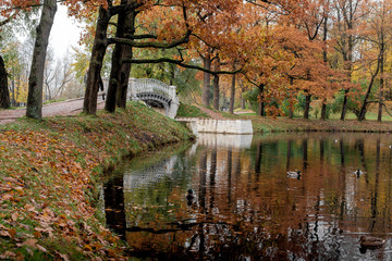 Bridge in autumn park in city of Pushkin near St. Petersburg in Russia