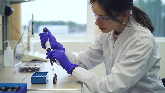 female scientist uses pipette with liquid filling pcr bottles or test tubes Spbd. researching chemicals for development of new medicine, making expertise. concept vaccine, pharmaceutical, ampoule