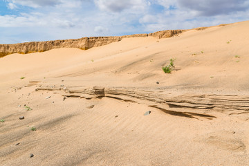 Fototapeta na wymiar Sand Cliffs in the Gobi Desert