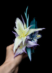 Artificial flower in female hand on black background