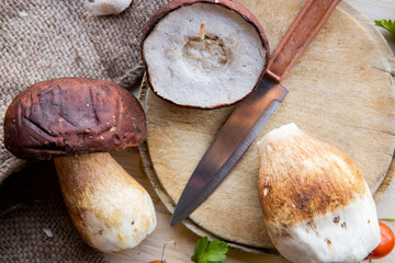 Harvested wild boletus mushrooms on wooden background
boletus for Tagliatelle with boletus, garlic, parsley and bacon sauce
pasta tagliatelle with boletus mushrooms. selective focus