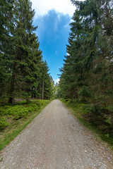 Fototapeta na wymiar Wandern im Bayerischen Wald bei Sankt Englmar