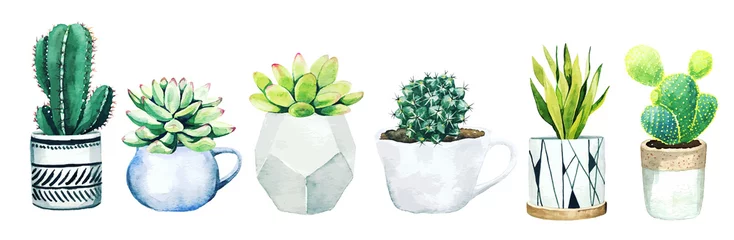 Foto op Canvas Set van zes ingemaakte cactusplanten en vetplanten, met de hand getekende vector © nurofina