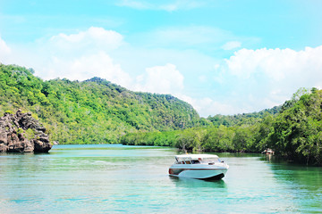 Fototapeta na wymiar Beautiful sea landscape with speed boat on the beach of Koh Lipe Island.