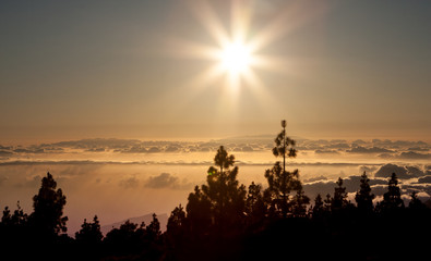 Fototapeta na wymiar Sunset of Teide National Park, Tenerife. The sun is seting on the clouds, silhouettes of pine trees