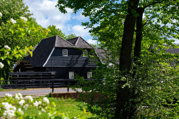 Green park with ponds and old water mill in central part of Eindhoven city, North Brabant, Netherlands in spring time.