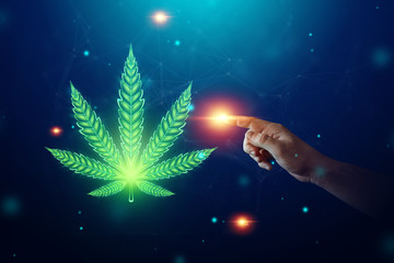 Obraz na płótnie Canvas Male hands with marijuana sign, hemp leaf, cannabis consumer symbol. The concept of legalization of marijuana medical use, the impact on the psyche. Copy space.