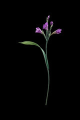 Artificial flower on black background