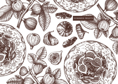 Vector background with hand-drawn fig fruits. Vintage banner with fig branches, fresh and dries fruits, baking cakes. 
