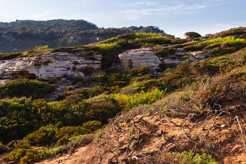 landscape next to the pilar beach in menorca (balearic islands, spain)