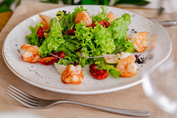 light healthy salad of fresh vegetables and shrimp. Photo in the interior