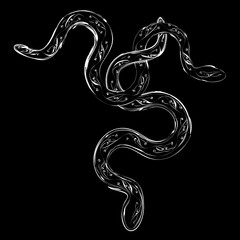 Obraz premium abstract gothic illustration of two entwined snakes on black background