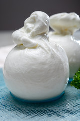 Cheese collection, fresh soft white burrata cheese ball made from mozzarella and cream from Apulia, Italy