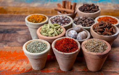 Obraz na płótnie Canvas Indian spices collection, dried colorful condiment, nuts, pods and seeds and another spices in clay bowls