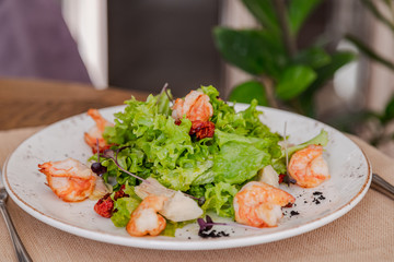 light healthy salad of fresh vegetables and shrimp. Photo in the interior