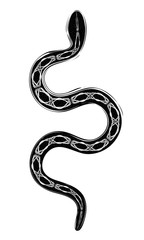 Obraz premium abstract gothic illustration of snake