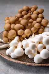 Fresh buna brown and bunapi white shimeji edible mushrooms from Asia, rich in umami tasting compounds such as guanylic and glutamic acid