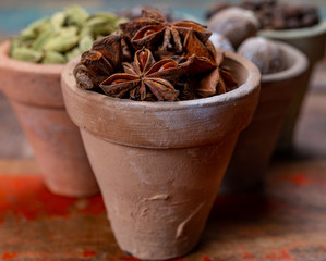 Indian spices collection, dried aromatic star anise and another spices in clay bowls