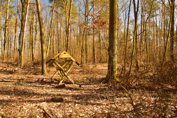 Drewniany pusty paśnik w lesie wśr&oacute;d drzew.
