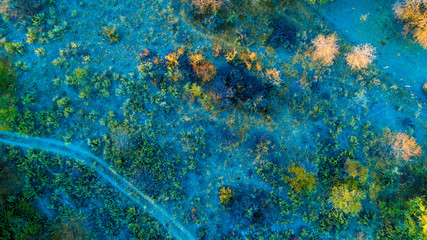 Aerial view of a loney curved dirt road in the dry season depicting a dried-up grass field with a few trees in Africa, Botswana, Okavango Delta