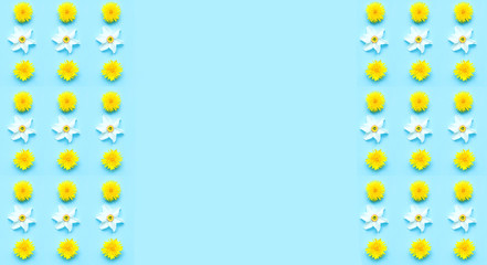 Pattern mit dandelion and daffodil flowers on blue background. Hello Summer concept