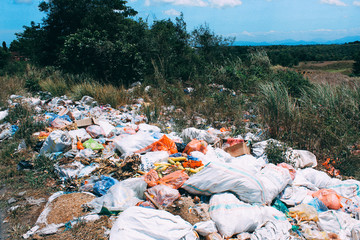 garbage in the park