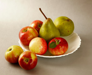 fruit still life