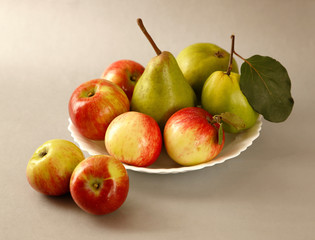 fruit still life