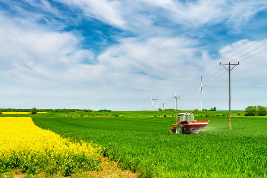 Tractor on the corn and rapeseed field with power lines and wind turbines.