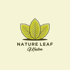 Mitragyna speciosa. kratom leaf logo design vector icon illustration
