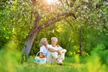 Portrait of loving elderly couple having a picnic