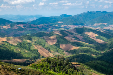 Fototapeta premium Deforestation and monoculture near Khun Sathan national park, north of Thailand