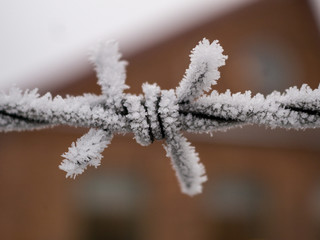 Barbed wire covered in ice crystals