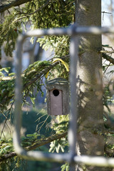 birdhouse in a tree in the park