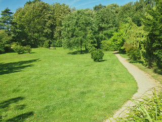 Landscape with path between green grass and green trees