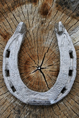Silver horseshoe on a background of a cut of an old tree