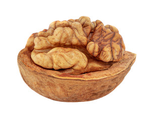 Walnut Isolated. Walnut kernel Nut on white background. Close up.